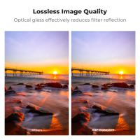 Come Raggiungere Telecamera Con Ddns ?