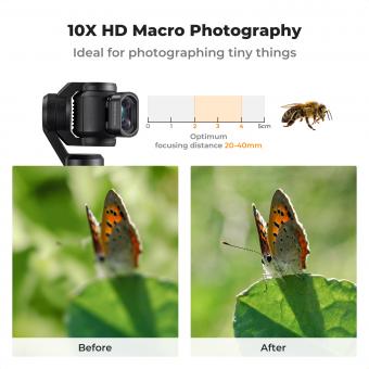 ¿qué Lente Usar Para Fotografía Macro?