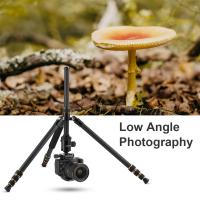 Cuanto Tiempo Almacena 1 Camara De Seguridad ?