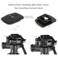 ¿cuáles Son Las Cámaras Que Graban En 360?