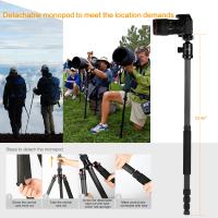 Che Telecamera Bisogna Prendere Per Fibra Ottica ?