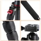 TC2834 Carbonio Treppiede Monopiede per Fotocamera DSLR