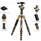 K&F Concept TM2235 (oro) DSLR Camera alluminio viaggio treppiede con testa a sfera in metallo