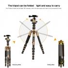 K&F Concept TM2235 (oro) DSLR Camera alluminio viaggio treppiede con testa a sfera in metallo