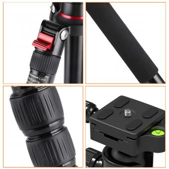 Quel Coût Pour Endoscopie Gynécologie ?