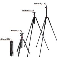 Quelle Jumelle Pour L Affut ?