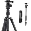 K&F Concept TC2235 kolfiberstativ-monopod-kit för DSLR-kameror, bollhuvud, 5 avdelningar