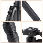 K&F Concept TC2235 kolfiberstativ-monopod-kit för DSLR-kameror, bollhuvud, 5 avdelningar
