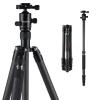K&F Concept TC3134C professionellt kolfiberstativ-monopod-kit för DSLR-kameror, bollhuvud, 4 avdelningar