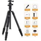 K&F Concept TC3134C professionellt kolfiberstativ-monopod-kit för DSLR-kameror, bollhuvud, 4 avdelningar