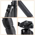 K&F Concept TC3134C professionellt kolfiberstativ-monopod-kit för DSLR-kameror, bollhuvud, 4 avdelningar