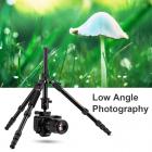 52"/134cm alumiininen kevyt kompakti jalusta 10kg / 22.04lbs kantavuus Canonille, Nikon DSLR -kameralle (toimitetaan vain Yhdysvaltoihin) (TM2515B)