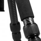 TC2535 Explorer-serien kolfiberstativ, 55,9 tum/142 cm, lastkapacitet 10 kg/22,05 lbs