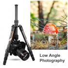 TC2335 (Orange) Carbon Tripod Lightweight Portable for Travel Photography