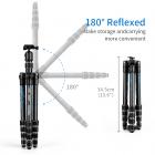 K&F Concept TC2335 carbonio treppiede leggero portatile per la fotografia di viaggio