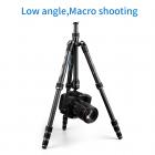 K&F Concept TC2335 carbonio treppiede leggero portatile per la fotografia di viaggio