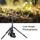 K&amp;F Concept 78 inch Camera Tripod for DSLR Compact Aluminum Tripod with 360 Degree Ball Head and 8kgs Load for Travel and Work