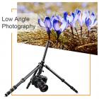 B210 Travel Tripod Light Carbon Fiber with 2 blocks Central Column / Metal Accessories / Case / 360 ° Ball Head / for Vlogging Travel for Canon Nikon Sony Olympus Camera