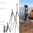 B210 Travel Tripod Light Carbon Fiber with 2 blocks Central Column / Metal Accessories / Case / 360 ° Ball Head / for Vlogging Travel for Canon Nikon Sony Olympus Camera