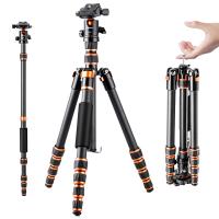 155 cm (60") Trépied Appareil Photo en Fibre de Carbone, Trépied Photo de Voyage Portable Professionnel avec Monopode, Trépied Caméra de Macrophotographie