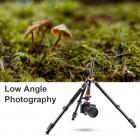 fotografia dal basso