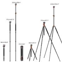 What Does Monopod Mean ?