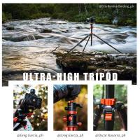 Ulanzi Zero F38 Quick Release Travel Tripod 3131 ?