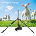 fotografia a basso angolo