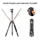 65”/164cm statyw do aparatu z włókna węglowego profesjonalny statyw fotograficzny 10kg/22lbs obciążenie do lustrzanki cyfrowej SLR odłączany monopod D284C2 + BH-28 (SA284C1)