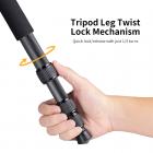 حامل ثلاثي القوائم من ألياف الكربون مقاس 70 بوصة / 177 سم، حامل ثلاثي القوائم احترافي خفيف الوزن للسفر بسعة تحميل 15 كجم / 33.07 رطلاً مع رأس كروي 360 درجة A254C4+BH-35L (SA254C2)