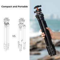 Who Discovered Light Microscope ?