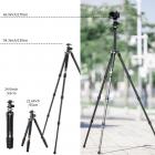 Höhenbereich, minimo 55 cm, massimo 170 cm