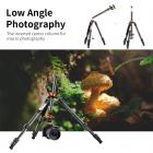 fotografia ad angolo basso, la colonna centrale invertita per la macrofotografia