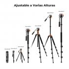 211cm Trípode de Vídeo para Cámara DSLR de Aluminio con Cabeza Fluida, Carga 5KG - K234A7+FH-03