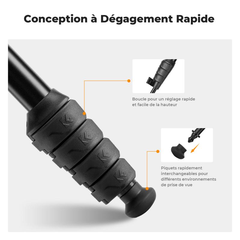 comment observer en immersion au microscope 2