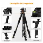 K&F Concept Treppiede Fotocamera e Smartphone 190cm/75", Cavalletto Fotografico in Alluminio S255A3+BH-36 con Telecomando Bluetooth e Testa a Sfera, Treppiede Compatto per DSLR/Ipad/Live Streaming