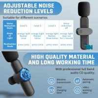 Can You Use A Microphone With An Ipad ?