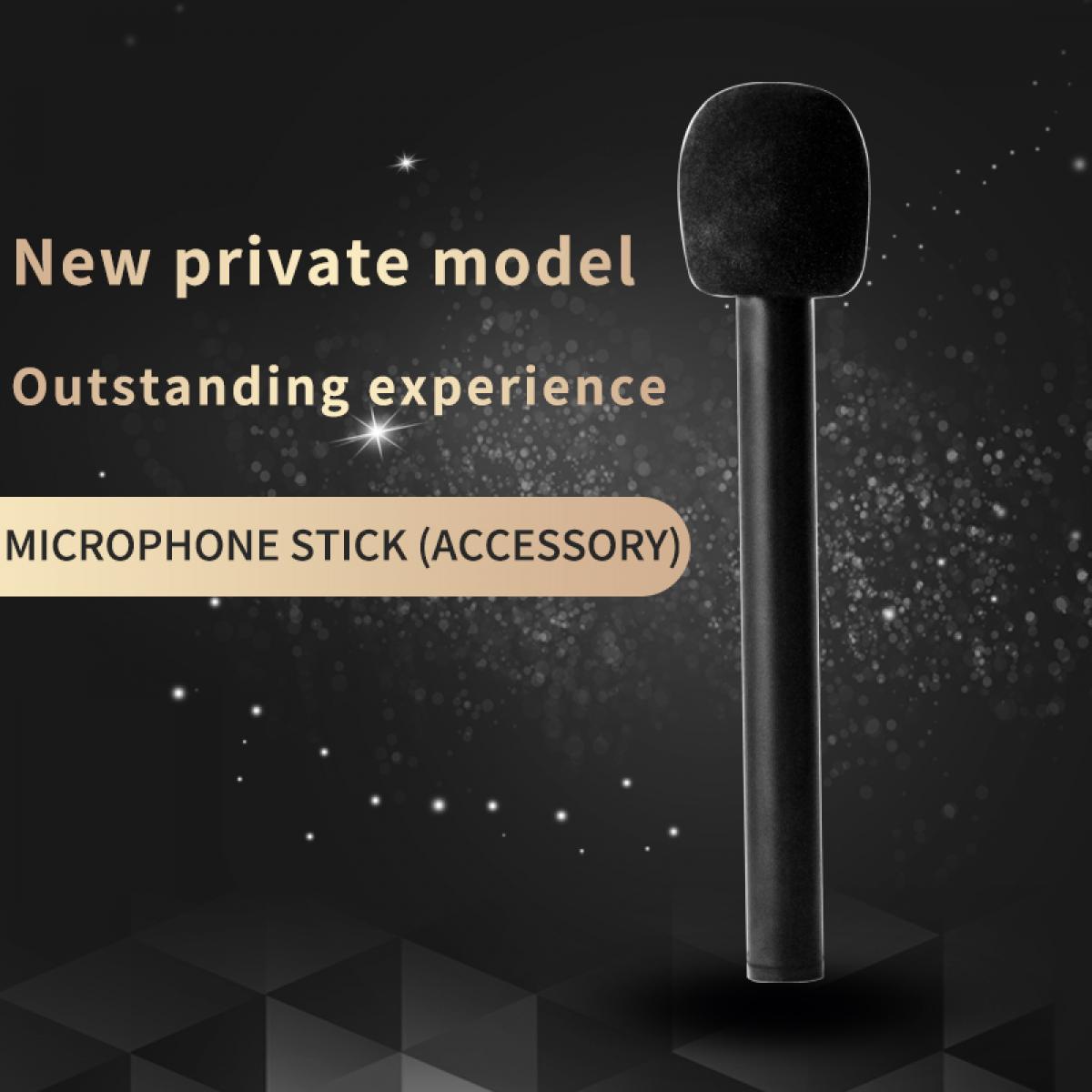 Palo de micrófono de mano