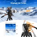 Rotule Fluide Professionnelle pour Trépied - Charge Max 8 kg, Panoramique 360°, Inclinaison de -75 ° à 90 °