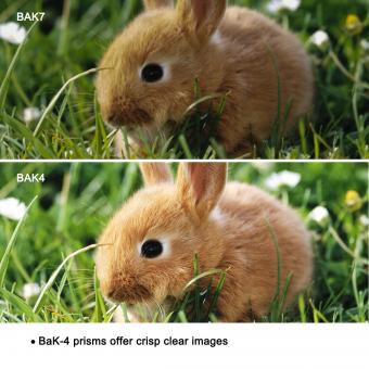 Cual Es El Mejor Telescopio Para Comprar ?