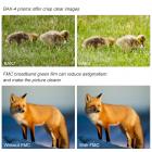 8 X 42 Verrekijker voor Buiten Reizen Waterdicht