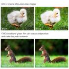 10X42 verrekijker telescoop met Bak-4 prisma voor reizen, jagen, concerten, wandelingen, natuurobservatie