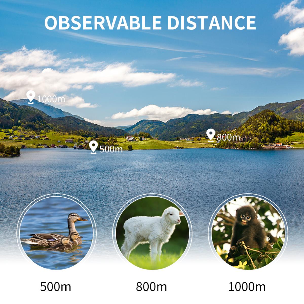 12X50 BAK4 IP68 Waterproof Prism  Monocular and Smartphone Adapter Kit Low Light Night Vision for Bird Watching, Camping,Travelling and Concerts