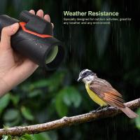 Como Formatear Tarjeta De Camara Digital Flash Air ?