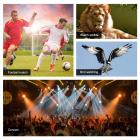 10x25 مناظير صغيرة محمولة ، موشور BAK4 ، رؤية ليلية منخفضة الإضاءة للبالغين والأطفال ، منظار صغير قابل للطي ومقاوم للماء لمشاهدة الطيور والصيد والمشي لمسافات طويلة