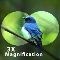 What Size Binoculars Are Best ?