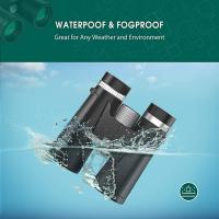 How Binocular Vision Works ?