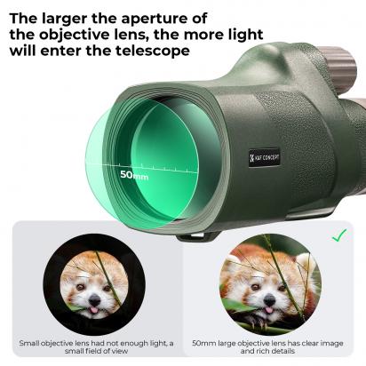 Nikon 50 1 8 G Czy D?