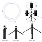 K&F Concept 11 tommer Selfie-ringlyssæt med stativstativ Mobiltelefonholder 3 lystilstande Smartphone-ringelys