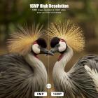 DL201 16MP 1080P polkukamera 0.4s laukaisuaika HD ulkona vedenpitävä metsästys infrapuna yönäkö peurakamera